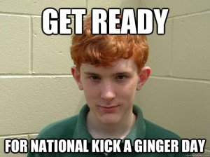 Gingers, Kick a Ginger Day