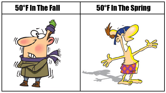 Fall vs Spring